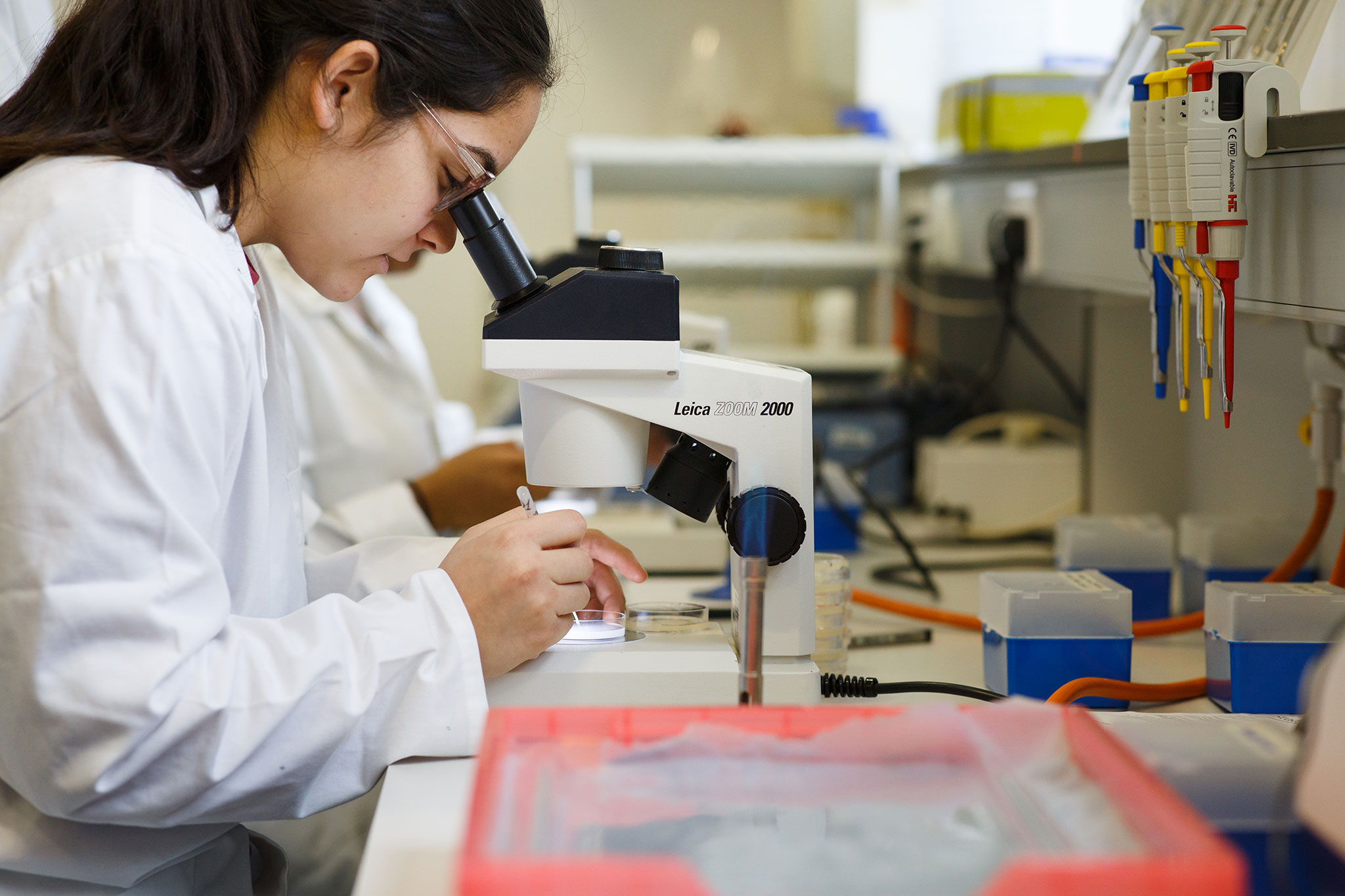 middle east university photography